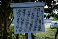 g004002005.JPG